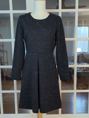Madewell Classic Long-Sleeve Black Speckled A-Line Dress